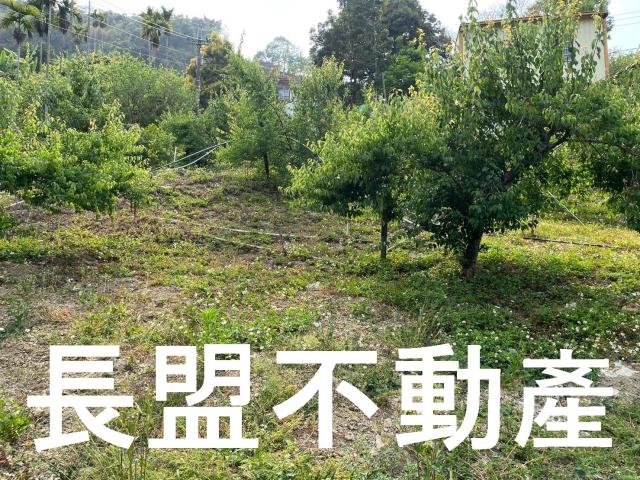 東勢休閒地-6