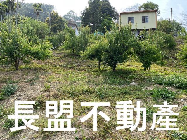 東勢休閒地-7