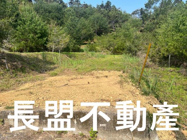 台中新社休閒地-0