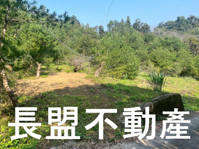 台中新社休閒地-3