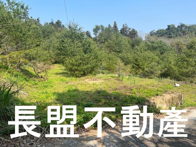 台中新社休閒地-4
