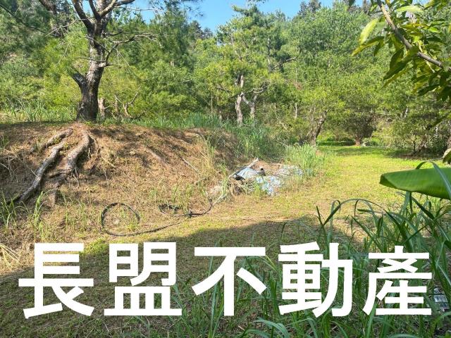 台中新社休閒地-8