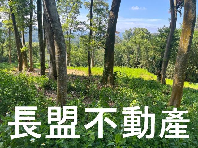 台中東勢休閒地-2