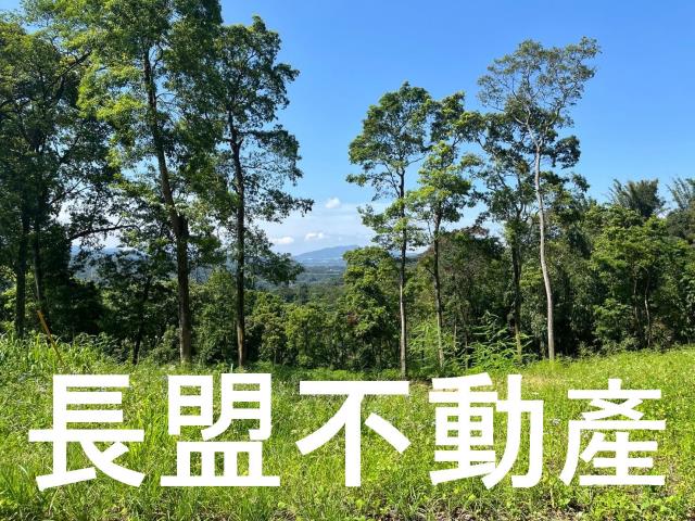 台中東勢休閒地-3