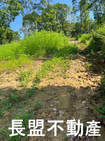 台中東勢休閒地-7
