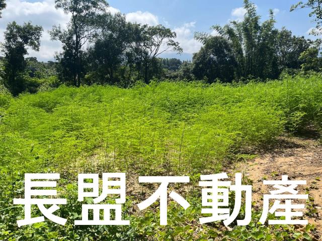 台中東勢休閒地-8