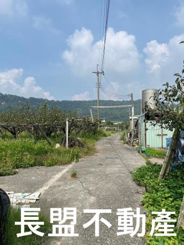 苗栗卓蘭農地-9