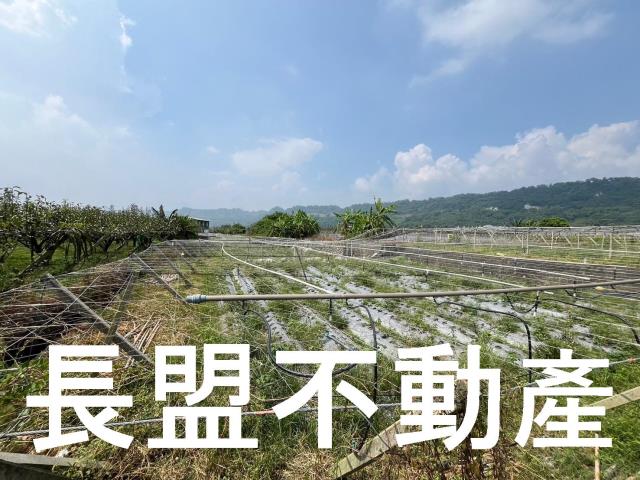 苗栗卓蘭農地-3