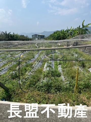 苗栗卓蘭農地-7