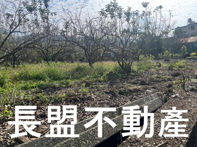 台中農地-9