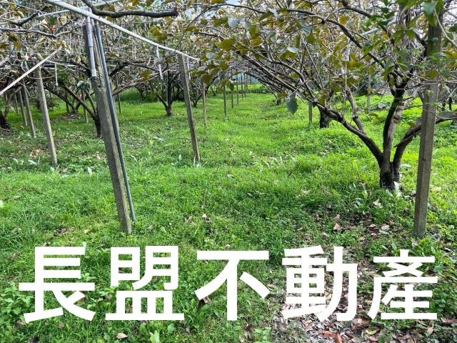 台中農地-0