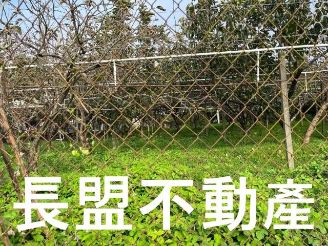 台中農地-1