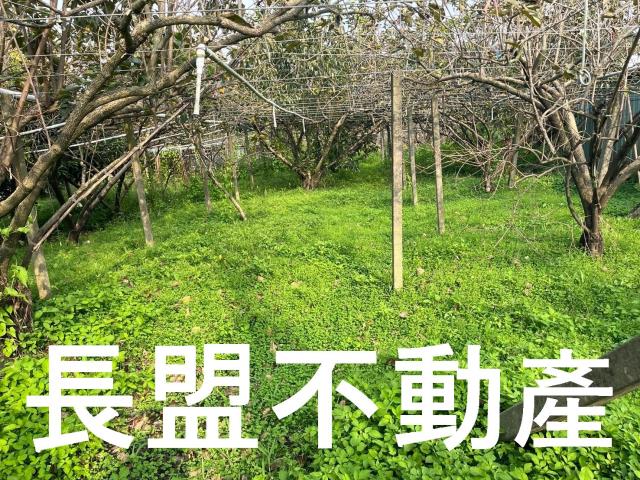 台中農地-2