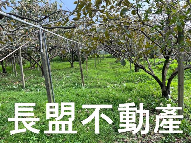 台中農地-3