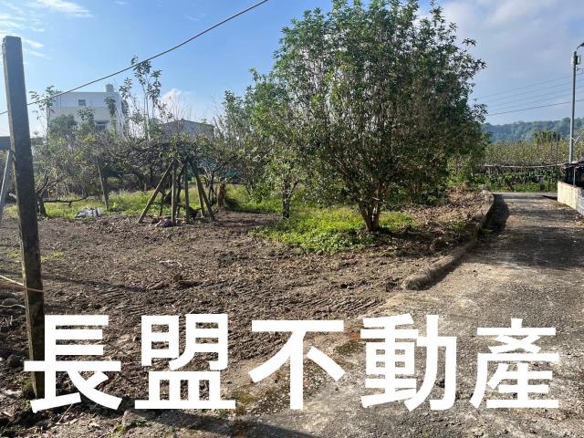 台中農地-6