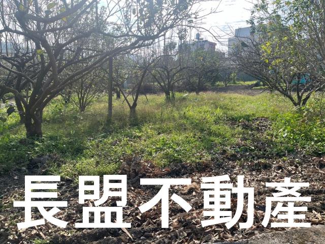 台中農地-7