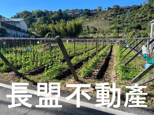台中農地-0