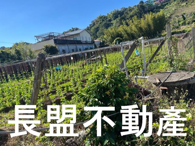 台中農地-1