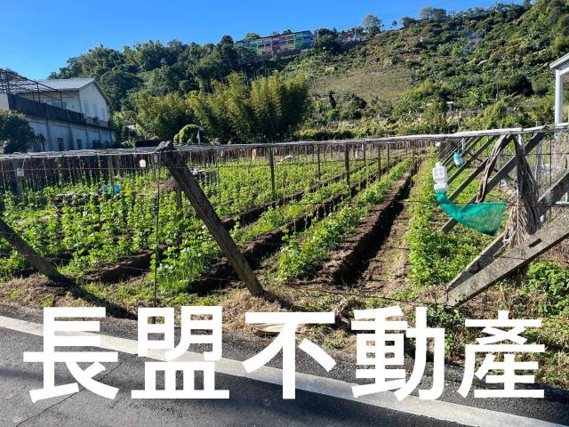 台中農地-2