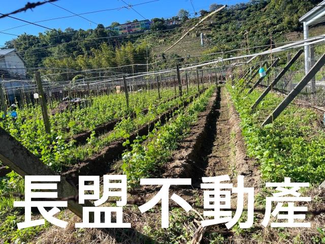 台中農地-3