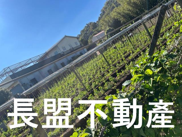 台中農地-4