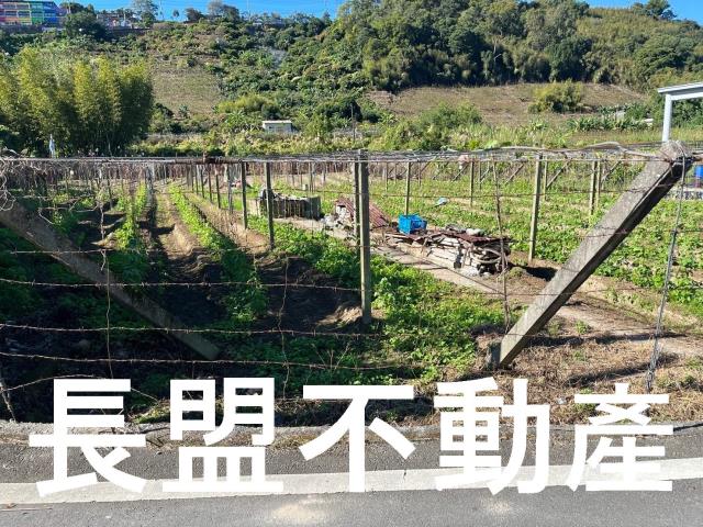 台中農地-5