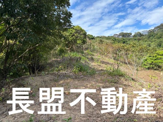 台中山坡地-0