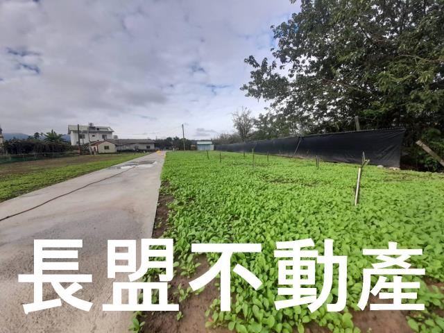 台中農地-0