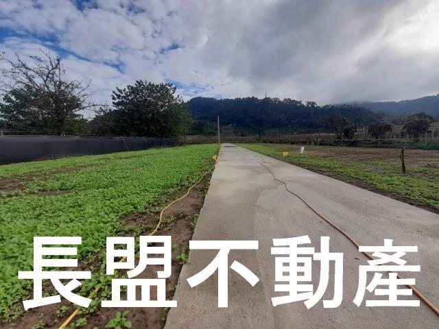 台中農地-4