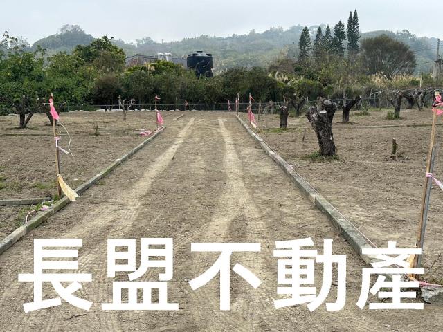 台中東勢農地-1