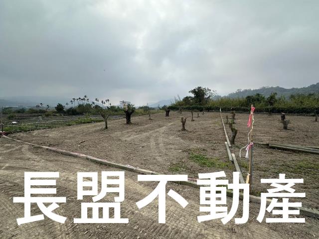台中東勢農地-2