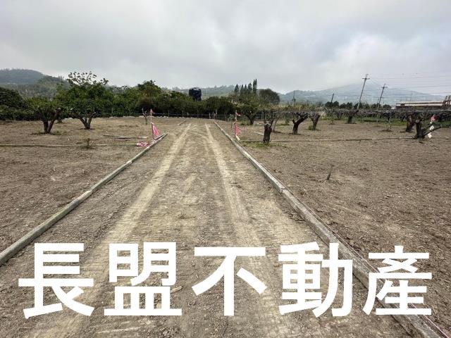 台中東勢農地-4