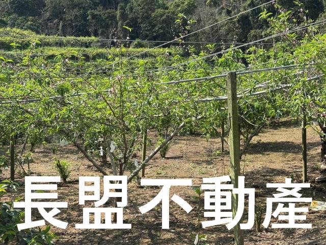 台中東勢休閒地-0