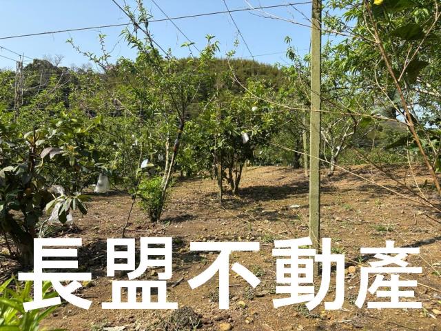 台中東勢休閒地-1