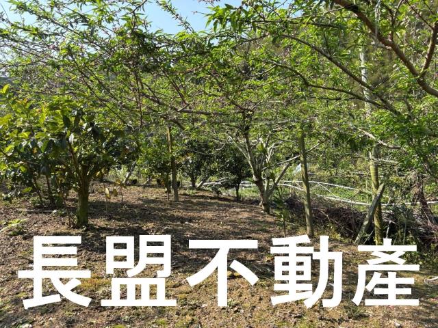 台中東勢休閒地-2