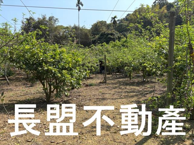台中東勢休閒地-3