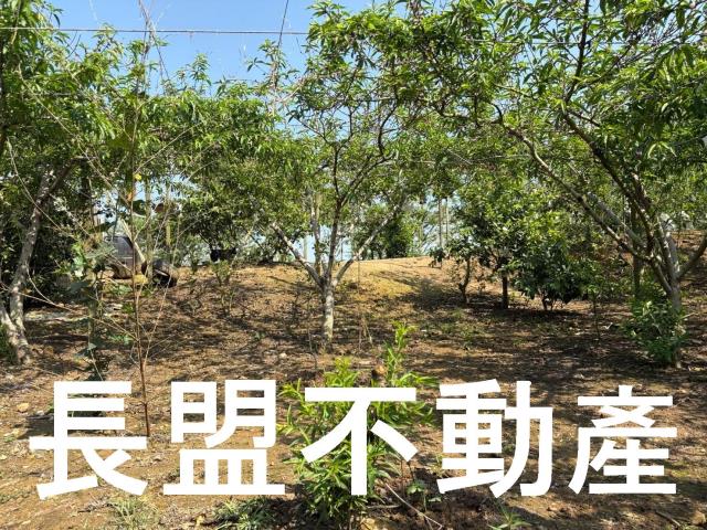 台中東勢休閒地-4