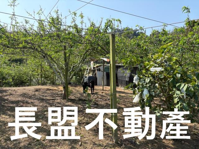 台中東勢休閒地-7