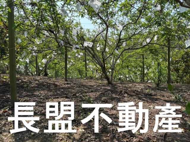 台中東勢休閒地-8