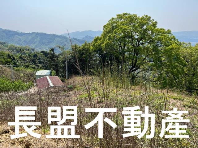 東勢休閒地-4