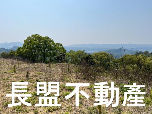東勢休閒地-5