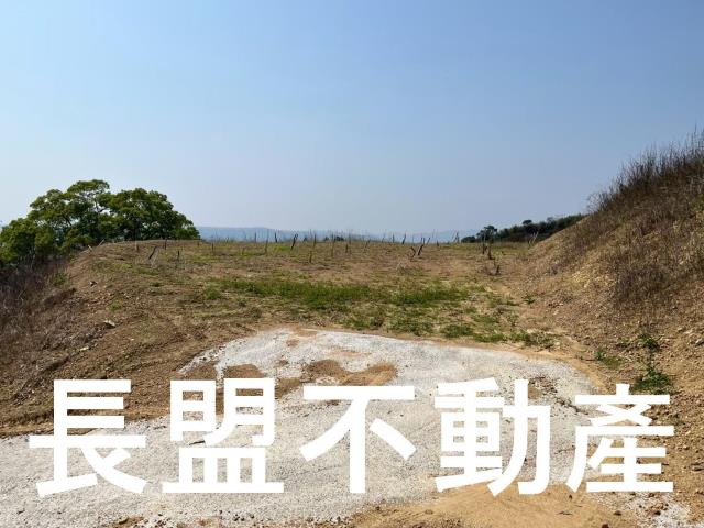 東勢休閒地-6
