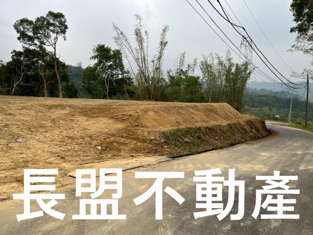 東勢休閒地-0