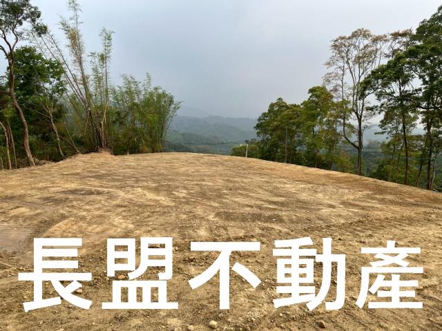 東勢休閒地-1