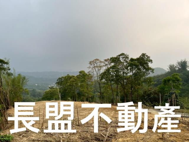 東勢休閒地-8