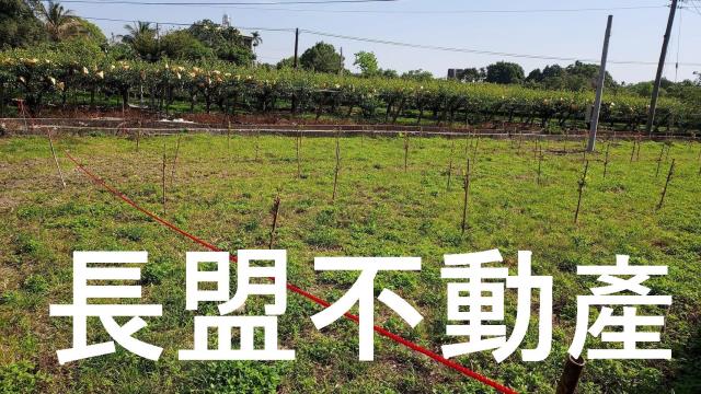 石岡農地-0