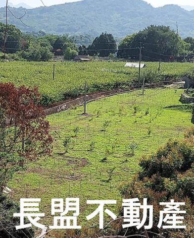 石岡農地-1