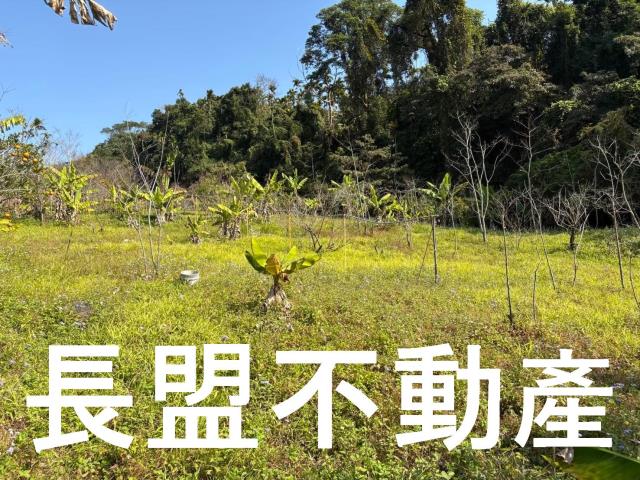 東勢休閒地-9