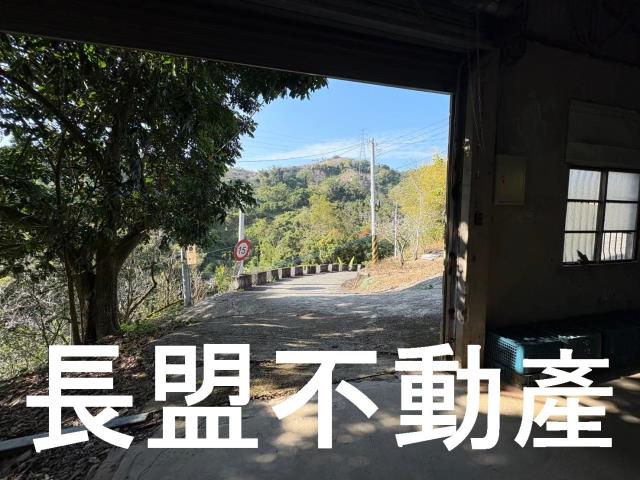 東勢休閒地-1