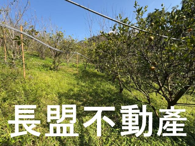 東勢休閒地-4